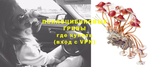 а пвп мука Дмитриев