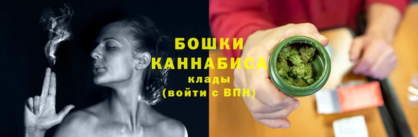 мдпв Дмитровск