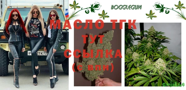 мдпв Дмитровск