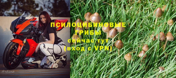 таблы Дмитров