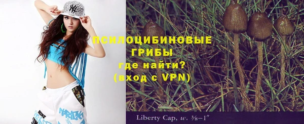 а пвп мука Дмитриев
